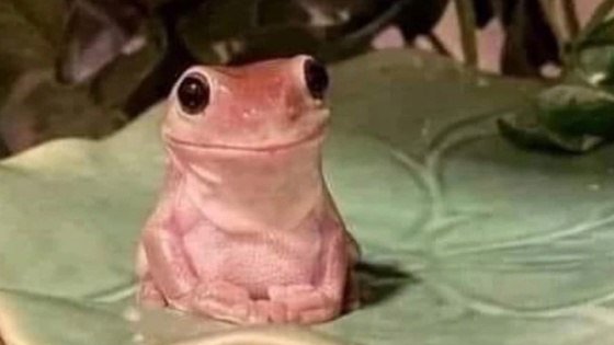 Mortred 🔞 Open tweet media