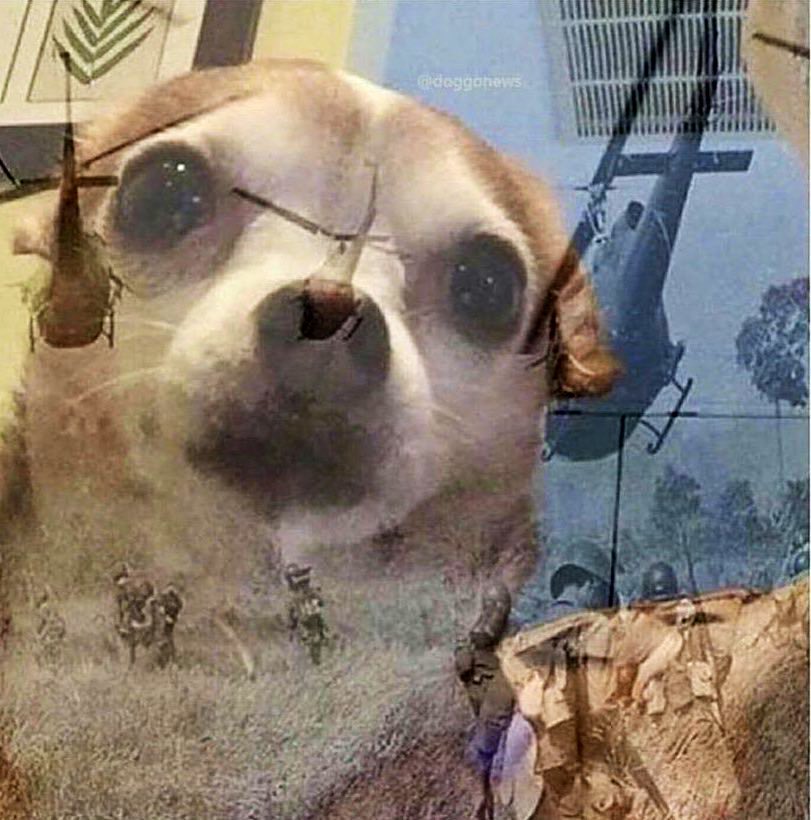 Trevor Sikkema tweet media