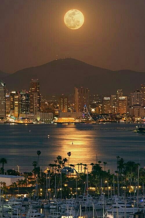 mfarooqbukhsh's tweet image. Wishing you everyone a peaceful starry night 💫

      San Diego USA 🇺🇲

#sandie