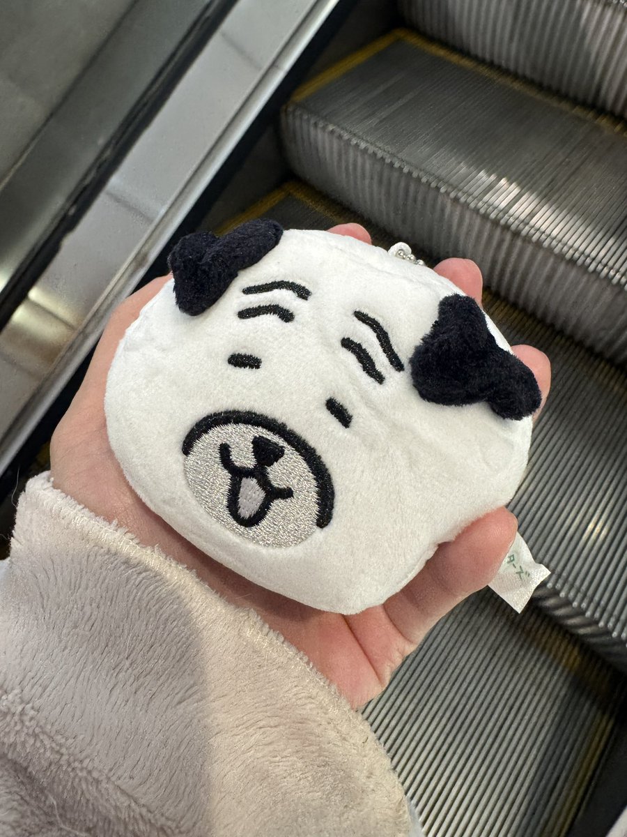 Tamaki桥本环爱 tweet media