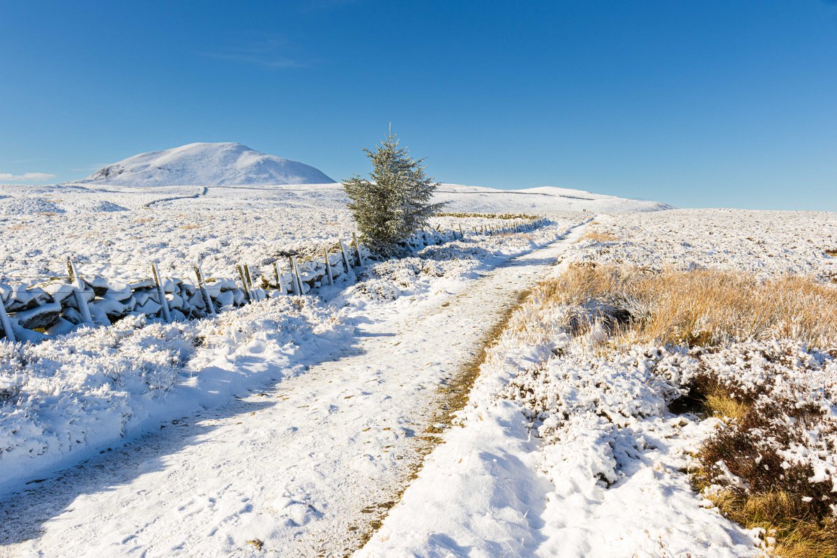 fifeexplorer's tweet photo. Walking the Wintry Lomond Hills last weekend - #fife - a winter walking playground amongst the ancient relics of a past volcanic world...

#photography #photoart #calming #scotlandexplore #scottishlandscape #lovescotland #falkland #goldenhour #geology #hiddenbeauty #winter https://t.co/n6iK1FznAc