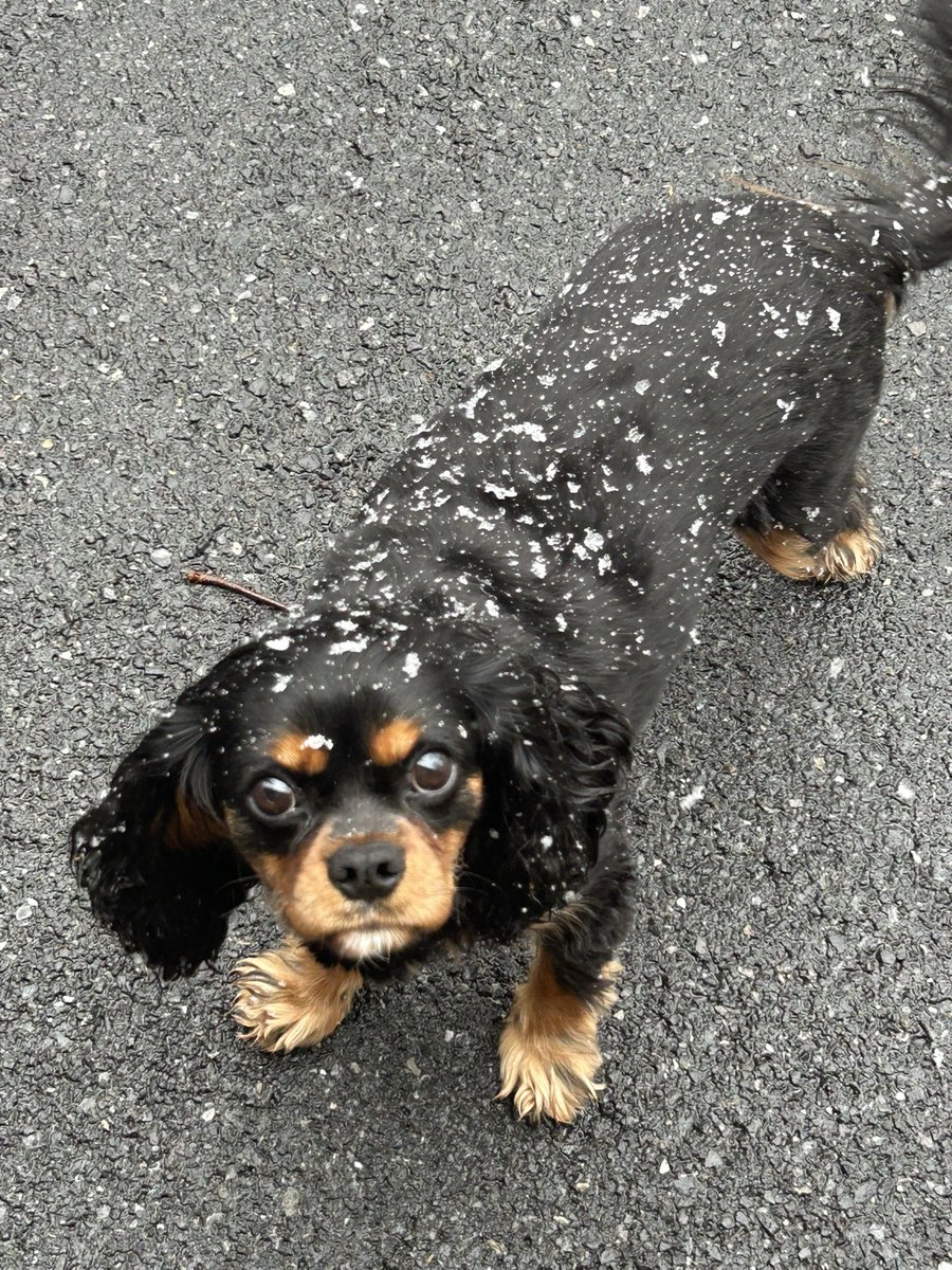 Jay Foreman tweet media