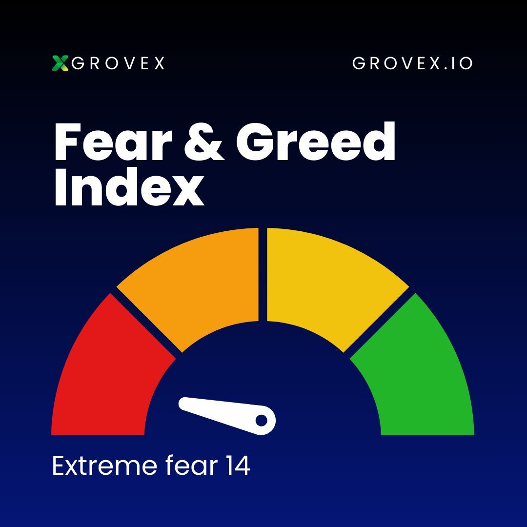 GroveX tweet media