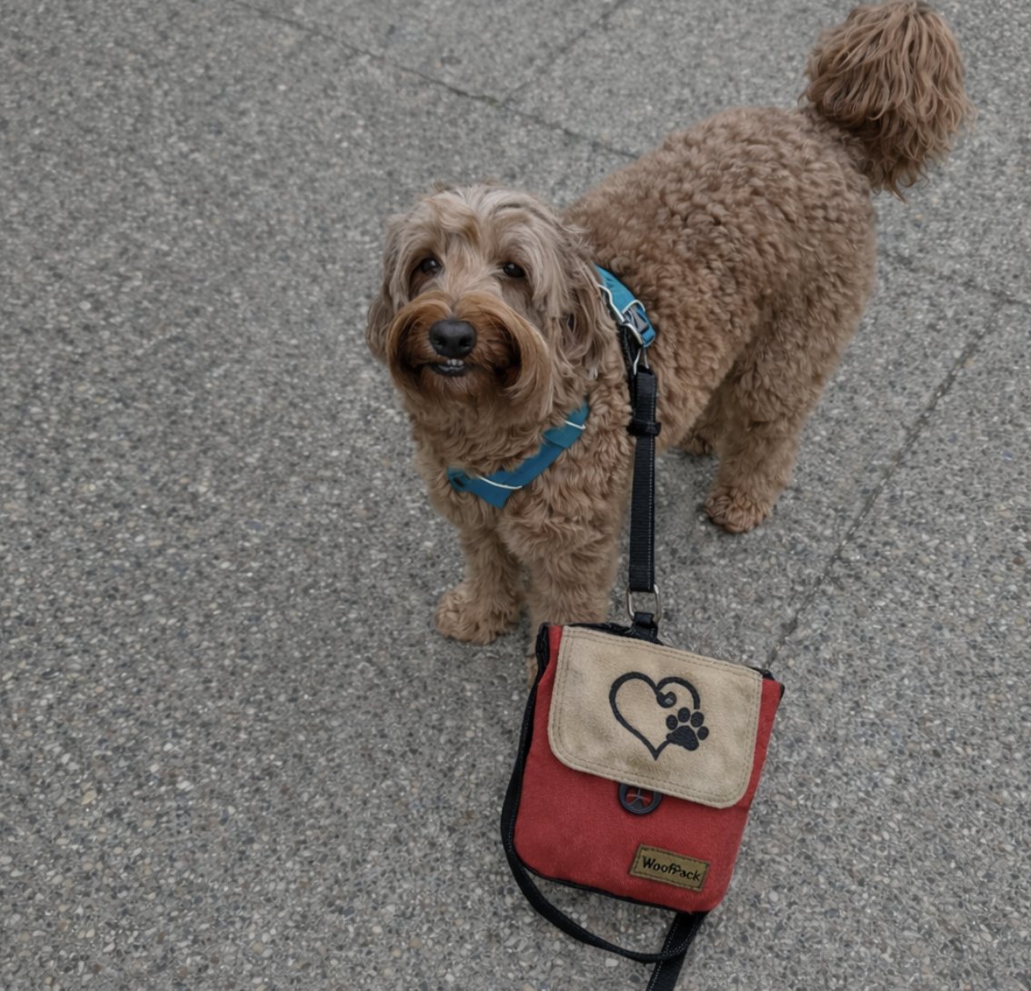 WoofPack Trails tweet media