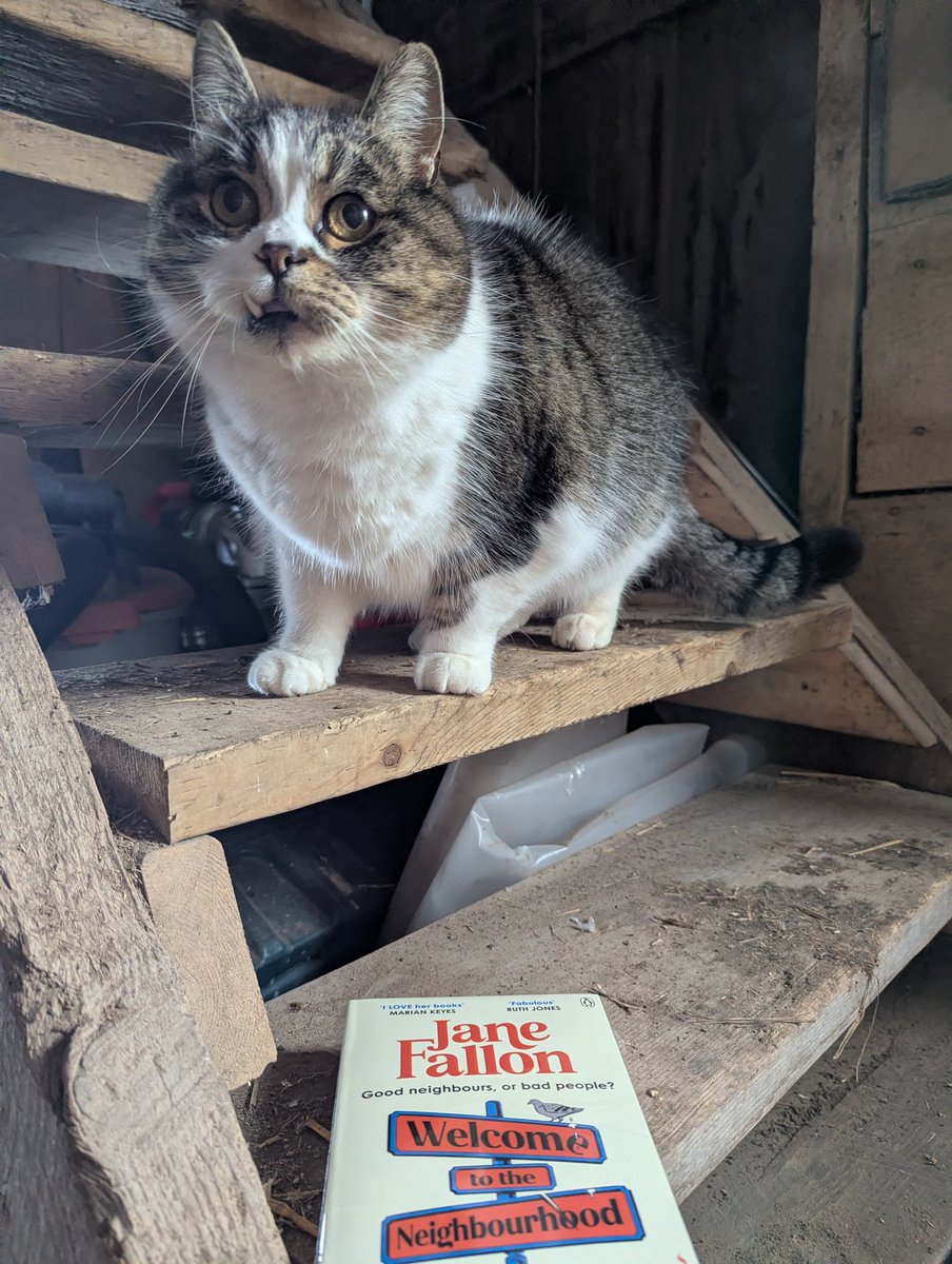 Keïth!🌈 🐾 Micker 😺 🐾 Miss P 😾 🐾 tweet media