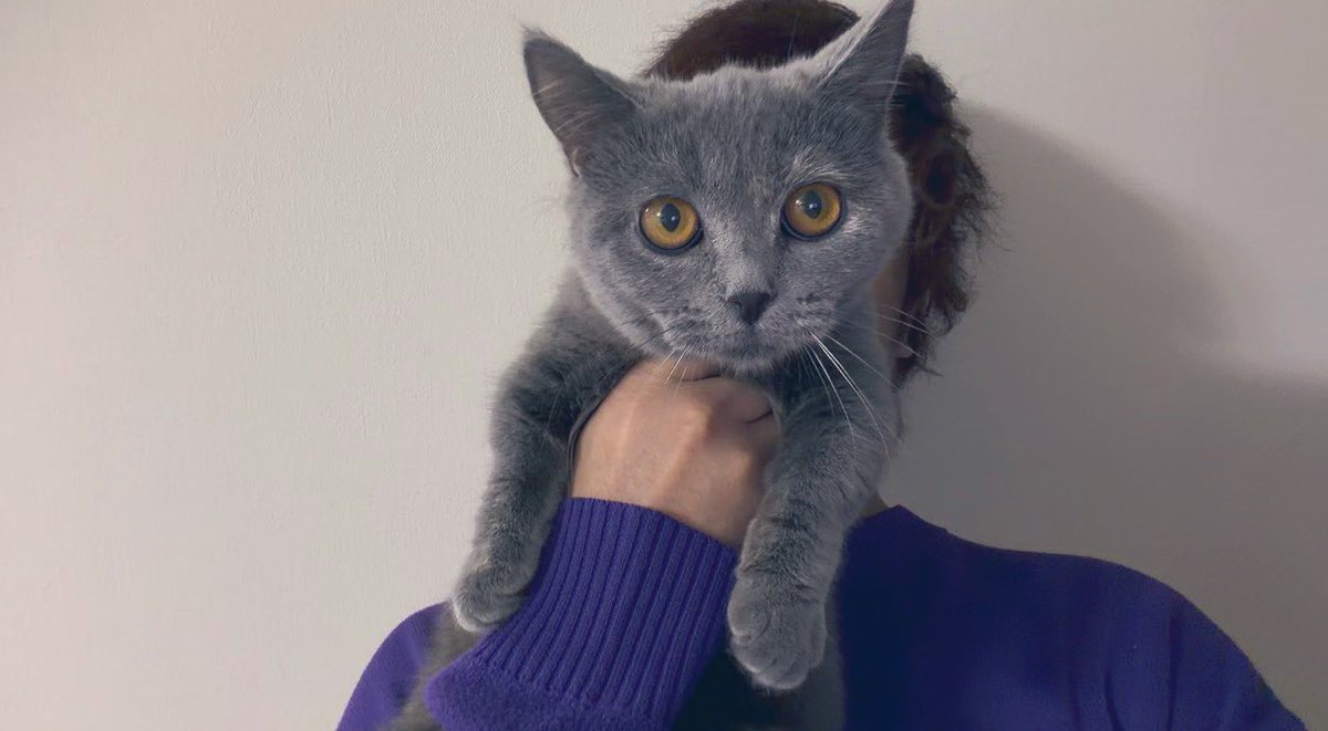 KEN蔵 (@pon10su777) / Posts / X