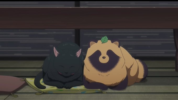 4年間飼っていた猫を思い出します。懐かしい💛