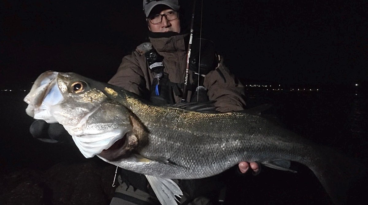 BariCraft バリクラフト tweet media