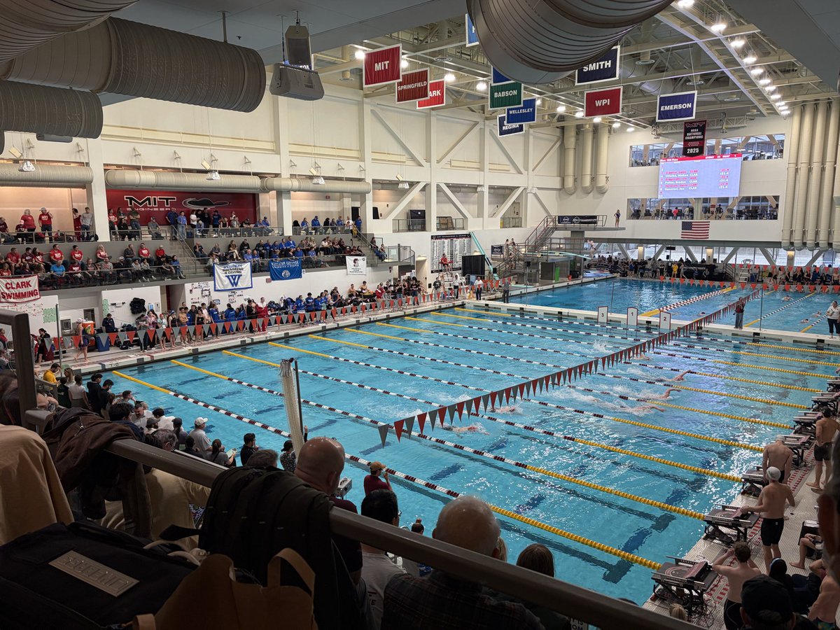 Mike Lynch tweet media