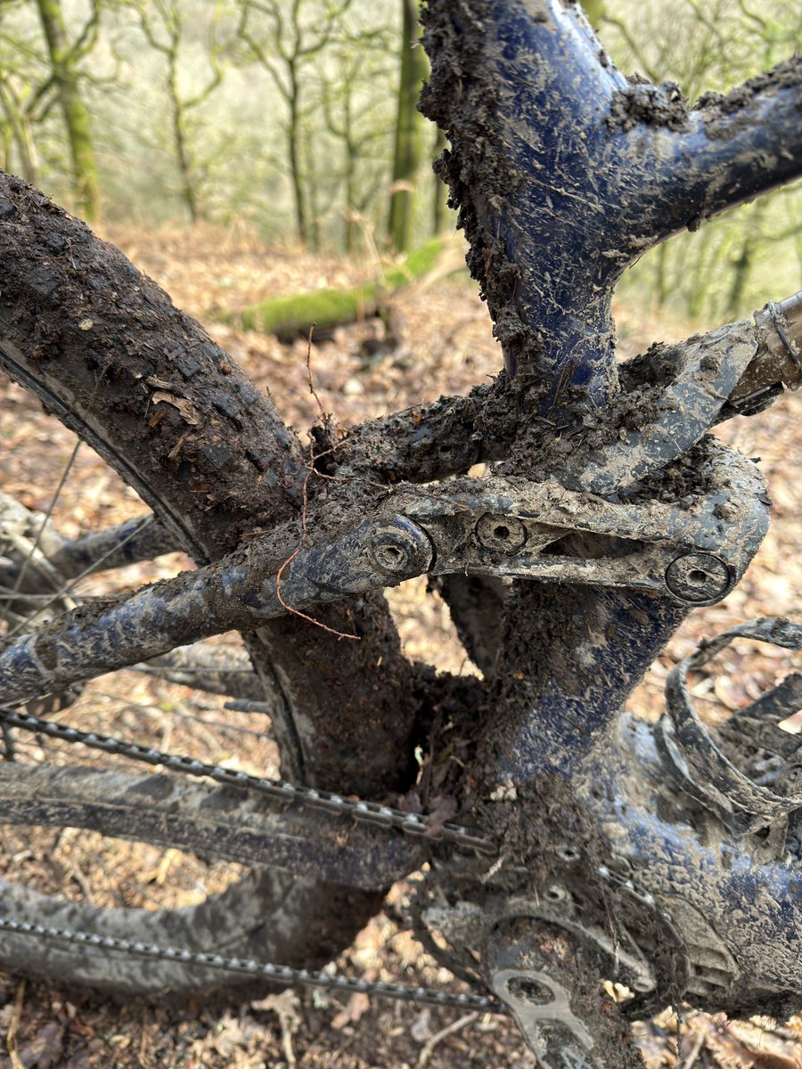 Forest of Dean MTB tweet media