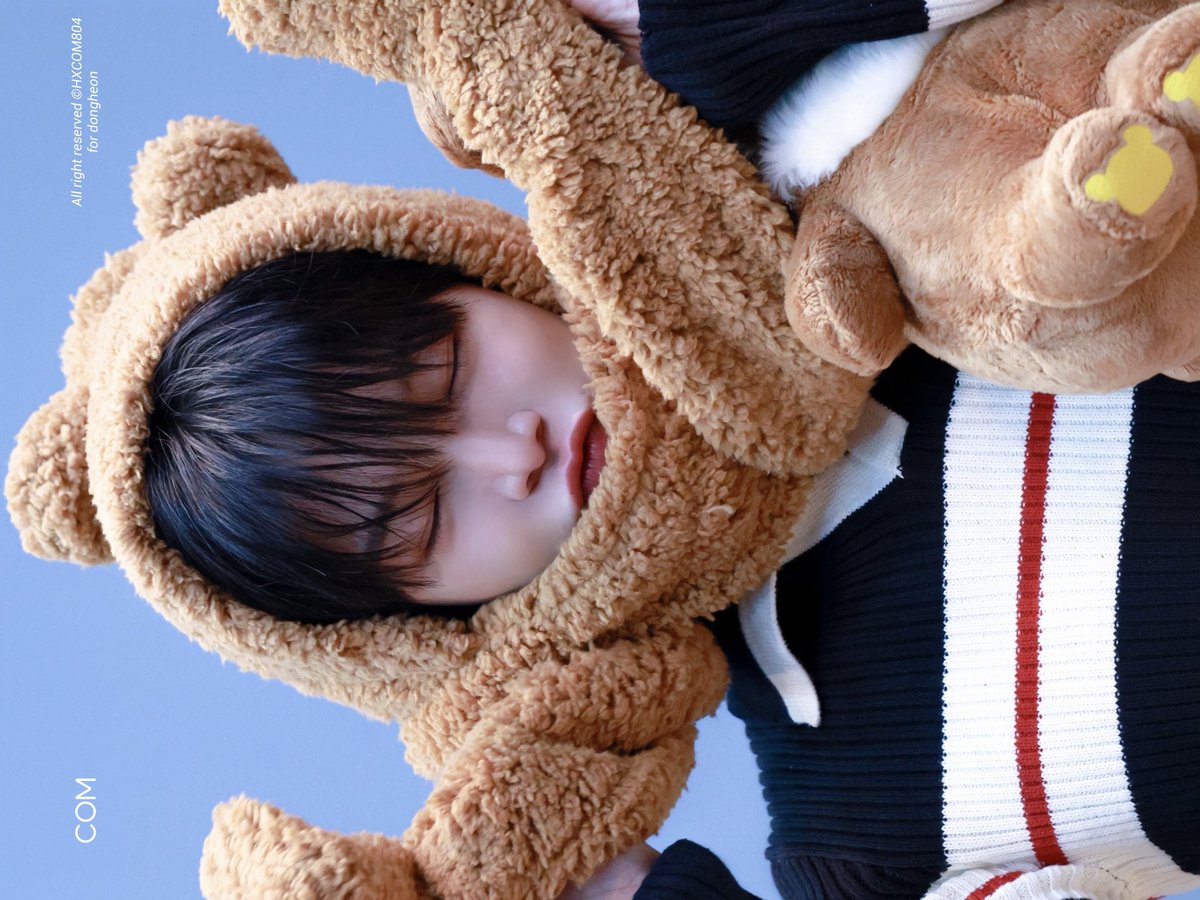 콤이.. tweet media