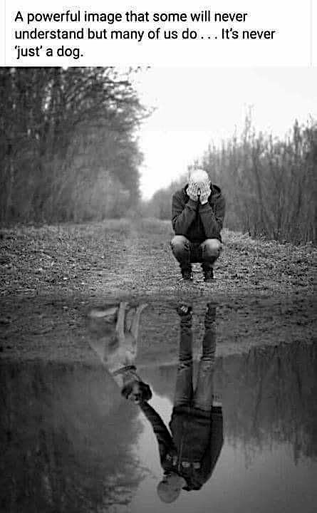 Only a dog lover will understand.