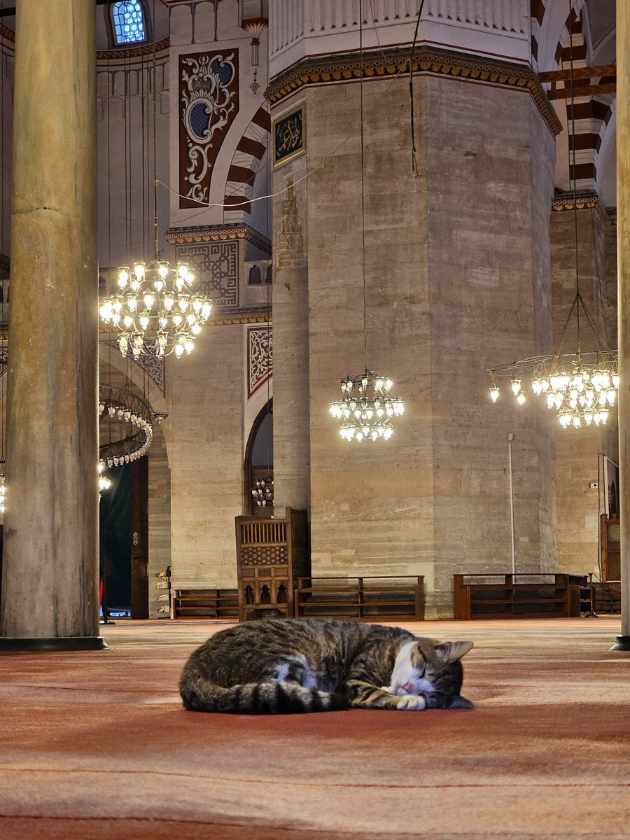 ALLAH'IN HUZURUNDA HERKES GÜVENDEDİR..