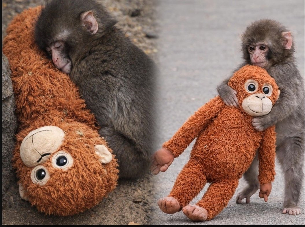 Bridge Books Dromore Co Down 📚 tweet media