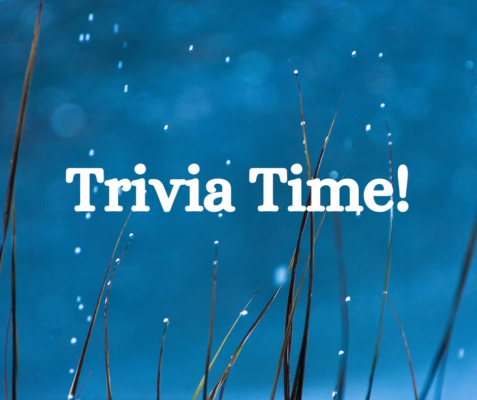 Today’s Trivia Question: A lunar eclipse occurs when the Earth is between the moon and what else? The first 20 to answer on our business pages will be entered in the weekly drawing for a $25 gift card. Make sure to follow our Twitter page to be eligible! #HI4E #trivia