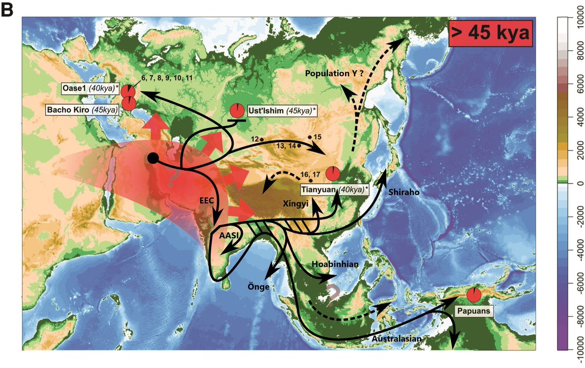 Tatsuya Yamashita tweet media
