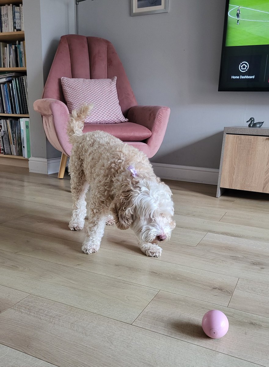 Keith Fenwick tweet media