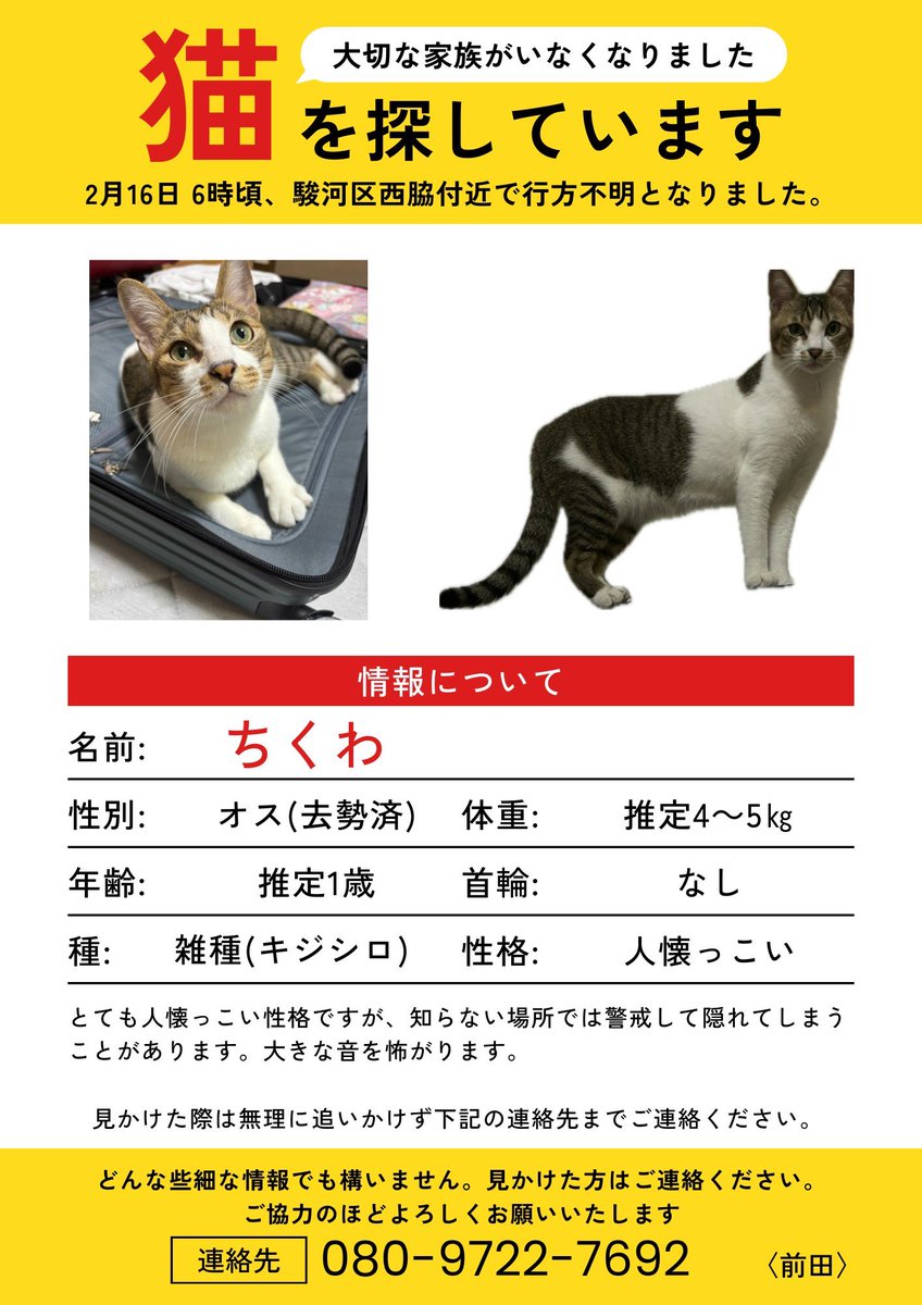 Relia_ba_y's tweet photo. 今日もポスティング。
ちくわ早く帰ってきてほしい。

明日から探偵に依頼する。
見かけたら一報ください！

#拡散希望
#迷い猫捜索中 
#静岡市 https://t.co/xsh7HeUGzP