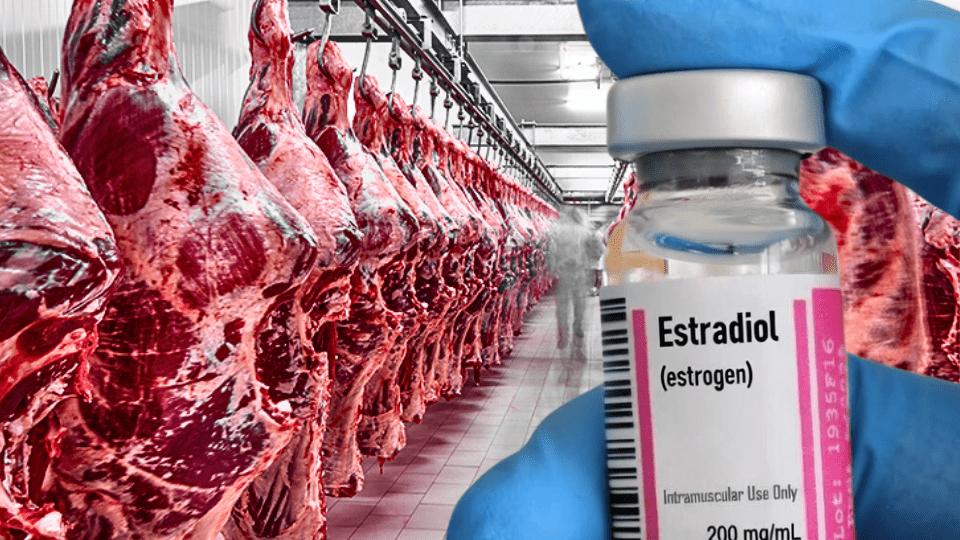 🇪🇺 🇧🇷Dziesiątki ton skażonej wołowiny z Brazylii trafiły na europejski rynek. Holenderskie służby wykryły w mięsie estradiol – niebezpieczny hormon wzrostu, surowo zakazany w całej Unii Europejskiej. Szokuje fakt, że ponad 62 tony tego produktu zdążyły już trafić do szerokiej