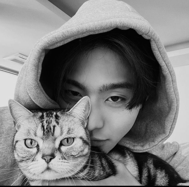 陳 𝐄𝐍𝐑𝐈𝐂𝐊. tweet media