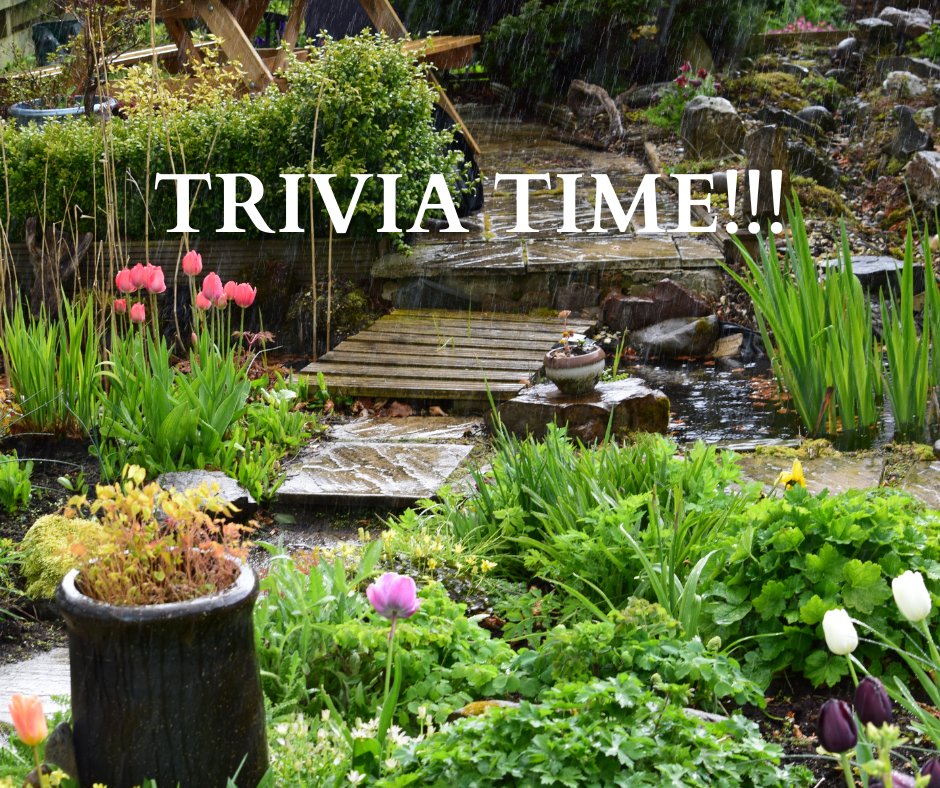 Today’s Trivia Question: What is the name of the first song heard in The Lion King? The first 20 to answer on our business pages will be entered in the weekly drawing for a $25 gift card. Make sure to follow our Twitter page to be eligible! #HI4E #trivia