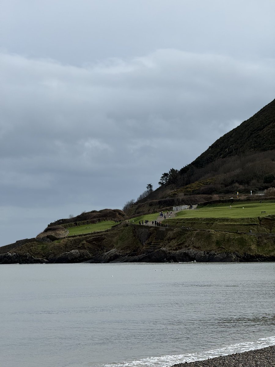 ミハイル tweet media