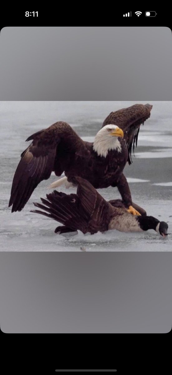 Andrew Kotzer (@andrewkotzer) on Twitter photo 