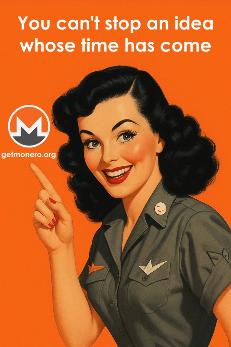 Every country that bans Monero proves exactly why Monero needs to exist,

you don't outlaw tools that aren't effective.