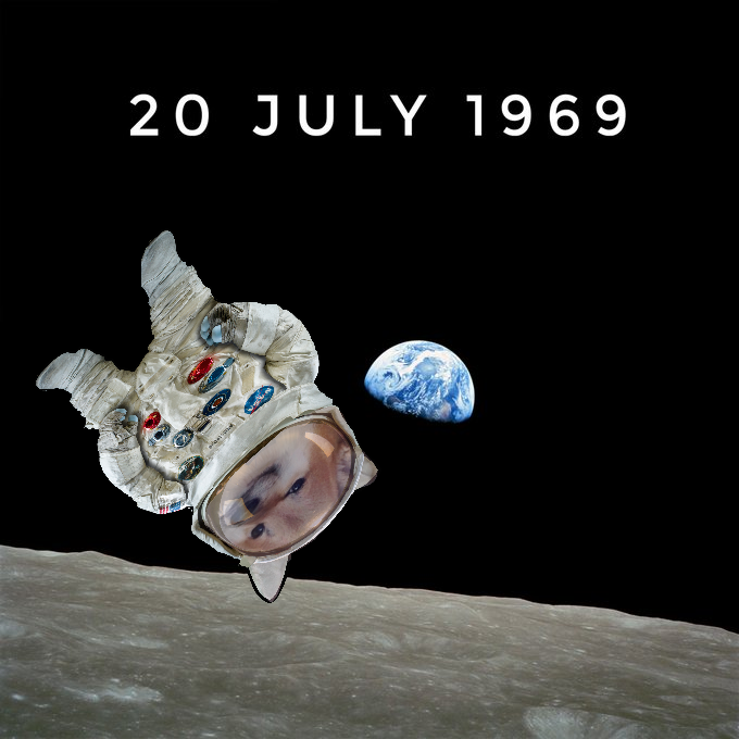 𝙐𝘼𝘿𝙚𝙛𝙚𝙣𝙙𝙚𝙧𝙂🦈 tweet media