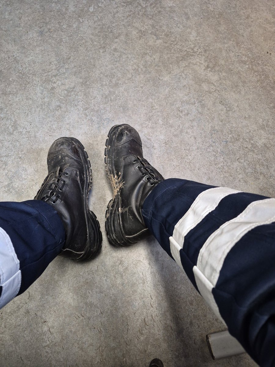 Manu 🦈 tweet media