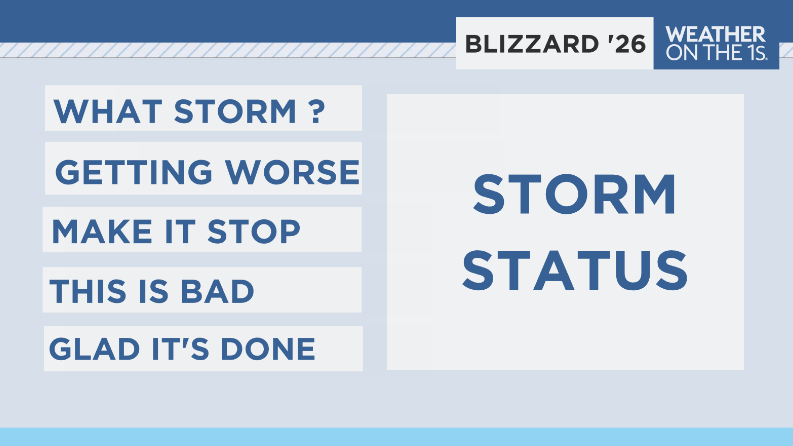 John Davitt tweet media