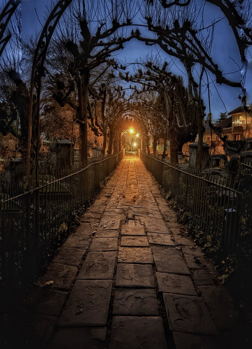 Birdcage Walk. Which, of course, is the portal to a fourth dimension beyond the spatial boundaries of life. And some squirrels.