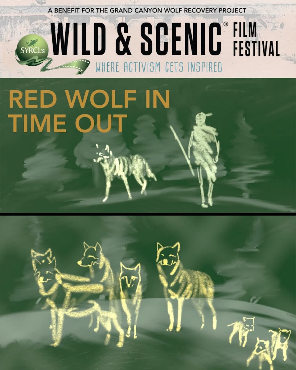 GC Wolf Recovery tweet media