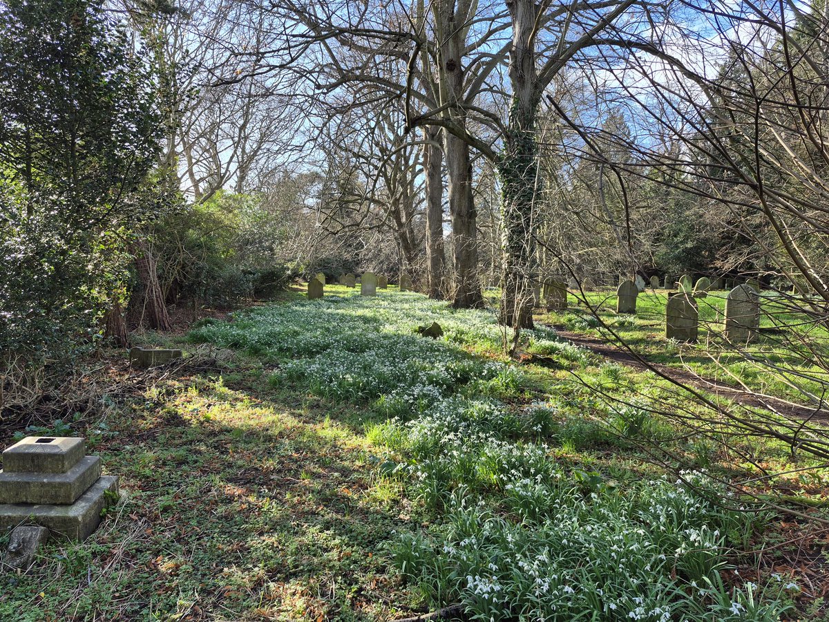 A beautiful sunny day at last. It really felt and looked like spring in Earlham Cemetery.