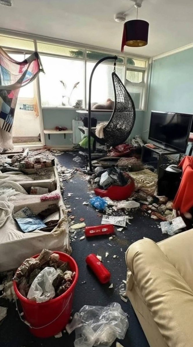 The Husky tweet media