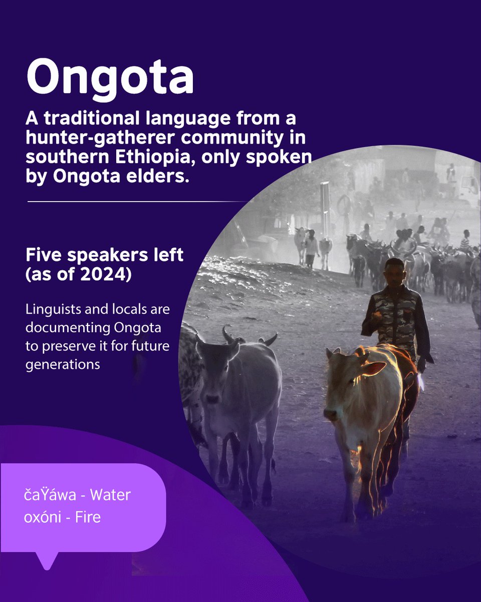 British Council tweet media