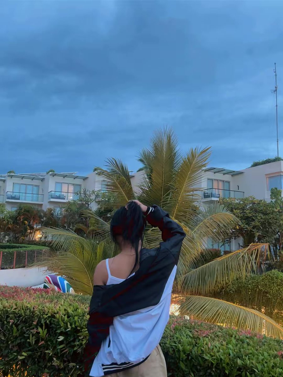 wilstreechada tweet media