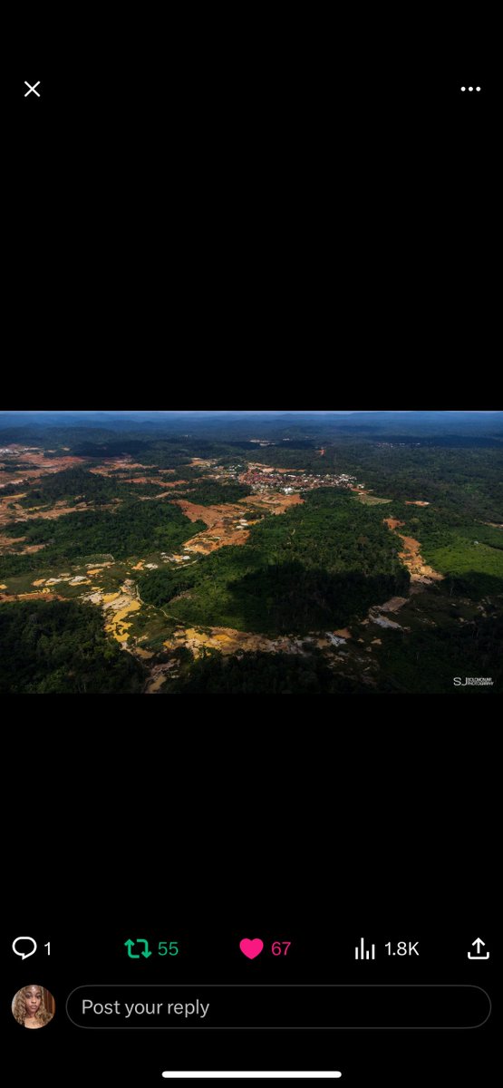 Bobthebuil19383's tweet photo. #StopGalamseyNow https://t.co/SEvfciyF0c