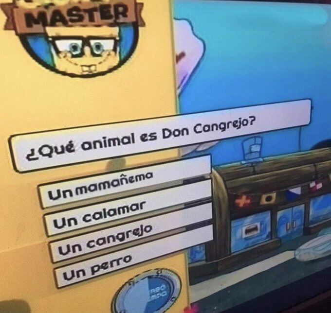 chincheto pirata somali (@wikipistacho) on Twitter photo 