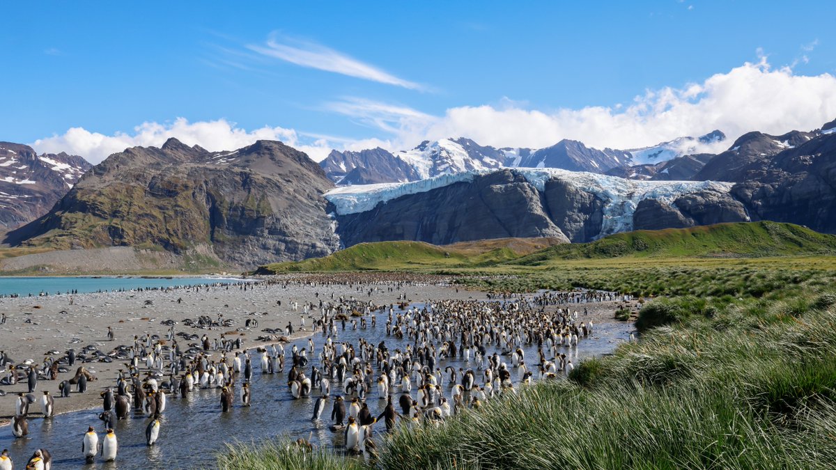 So love that you have included a super photo of @SouthGeorgiaHT 's Key table, the first table in the #whalememorial.  It's just been installed. So fabulous to see it.  I hope we can raise the funds for the remaining tables @QuarkExpedition