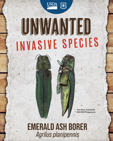 Dakota Prairie Grasslands tweet media