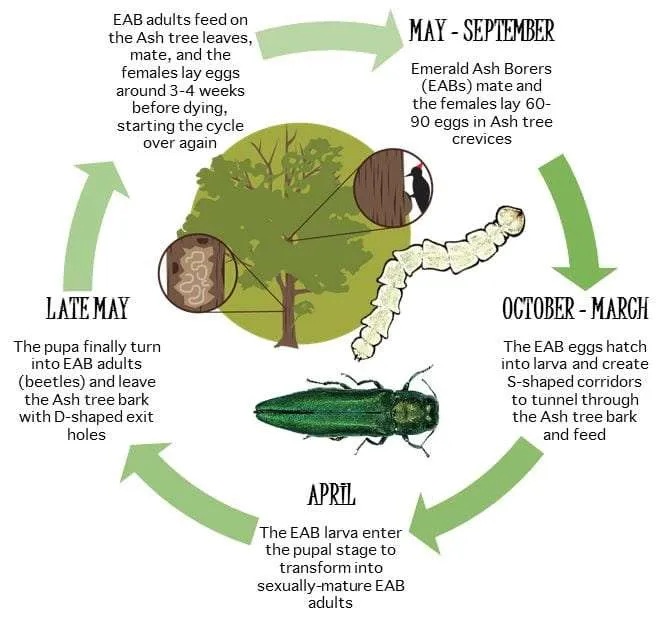 Dakota Prairie Grasslands tweet media