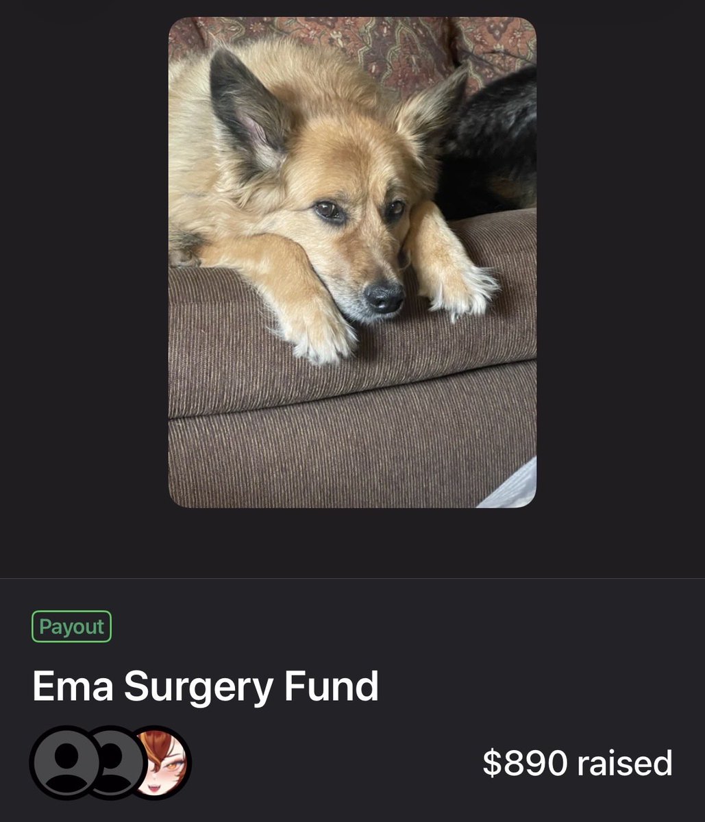 So much has been raised so far for Ema! 

Thank you all so much for all your support! Words cannot express how much this means to me! 

Her next surgery is this Monday and another on Thursday! I’ll keep you posted!

Thank you! Thank you! Thank you! 

throne.com/prideful0ne/it…