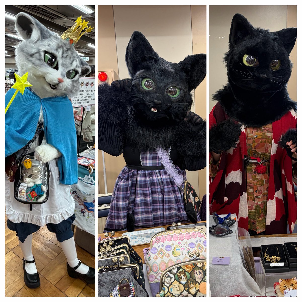 お写真ありがとうですにゃ✨ 3人並べてくれて嬉しいにゃあ💕