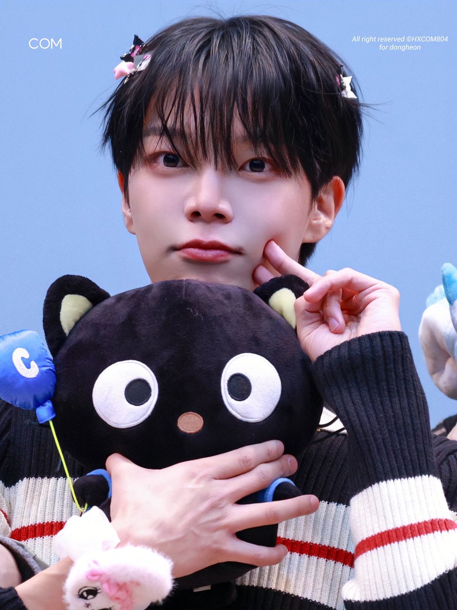 콤이.. tweet media