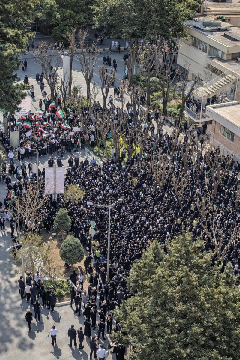 EHSAN KARAMI احسان کرمی tweet media