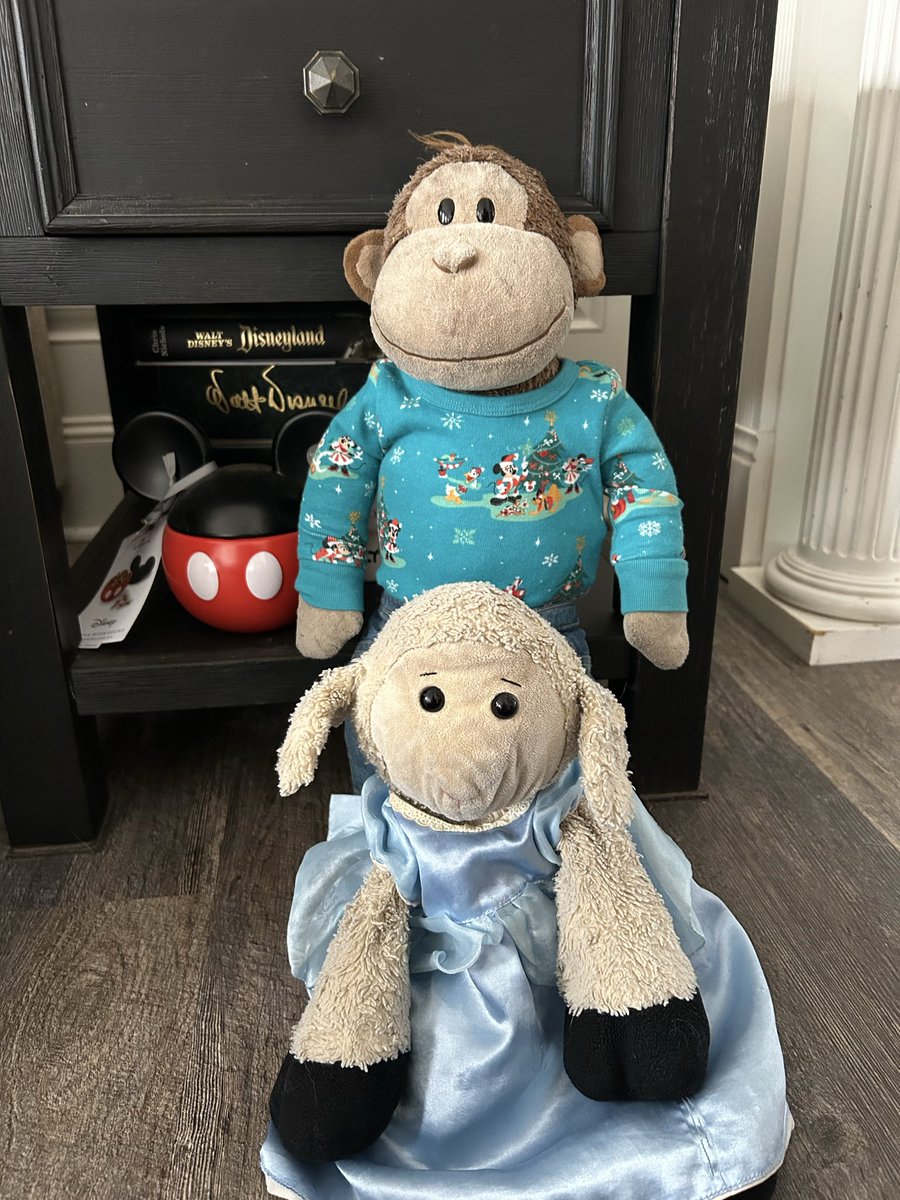 The human and sheepy came into town got a few days!!!  A much needed break with all going on with the cat