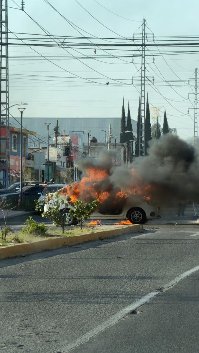 PipePunk tweet media