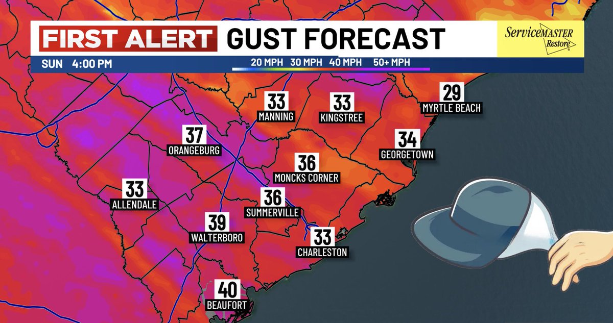 Lexie Horvath tweet media