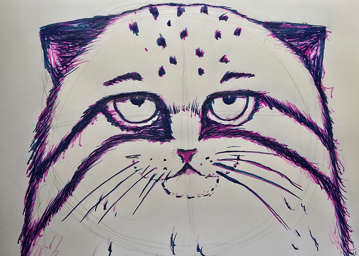 のりたま_☆ (@noritama_star) / Posts / X